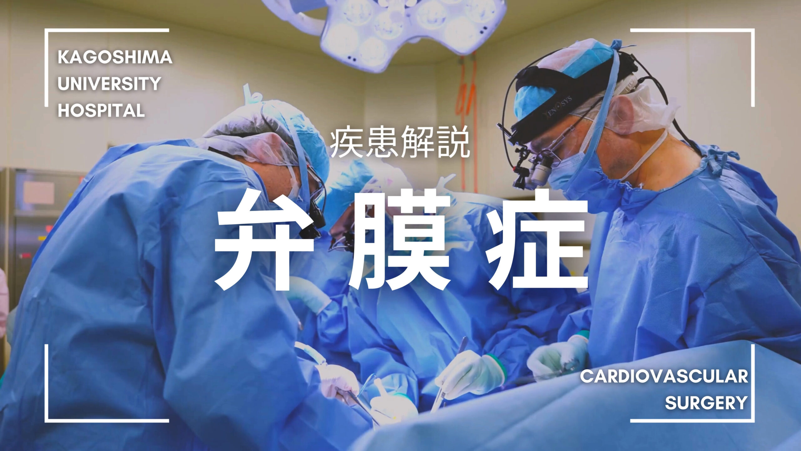 裁断済み　弁膜症の手術 心臓血管外科手術エクセレンス2 裁断済み 弁膜症の手術 心臓血管外科手術エクセレンス2 弁膜症の手術
