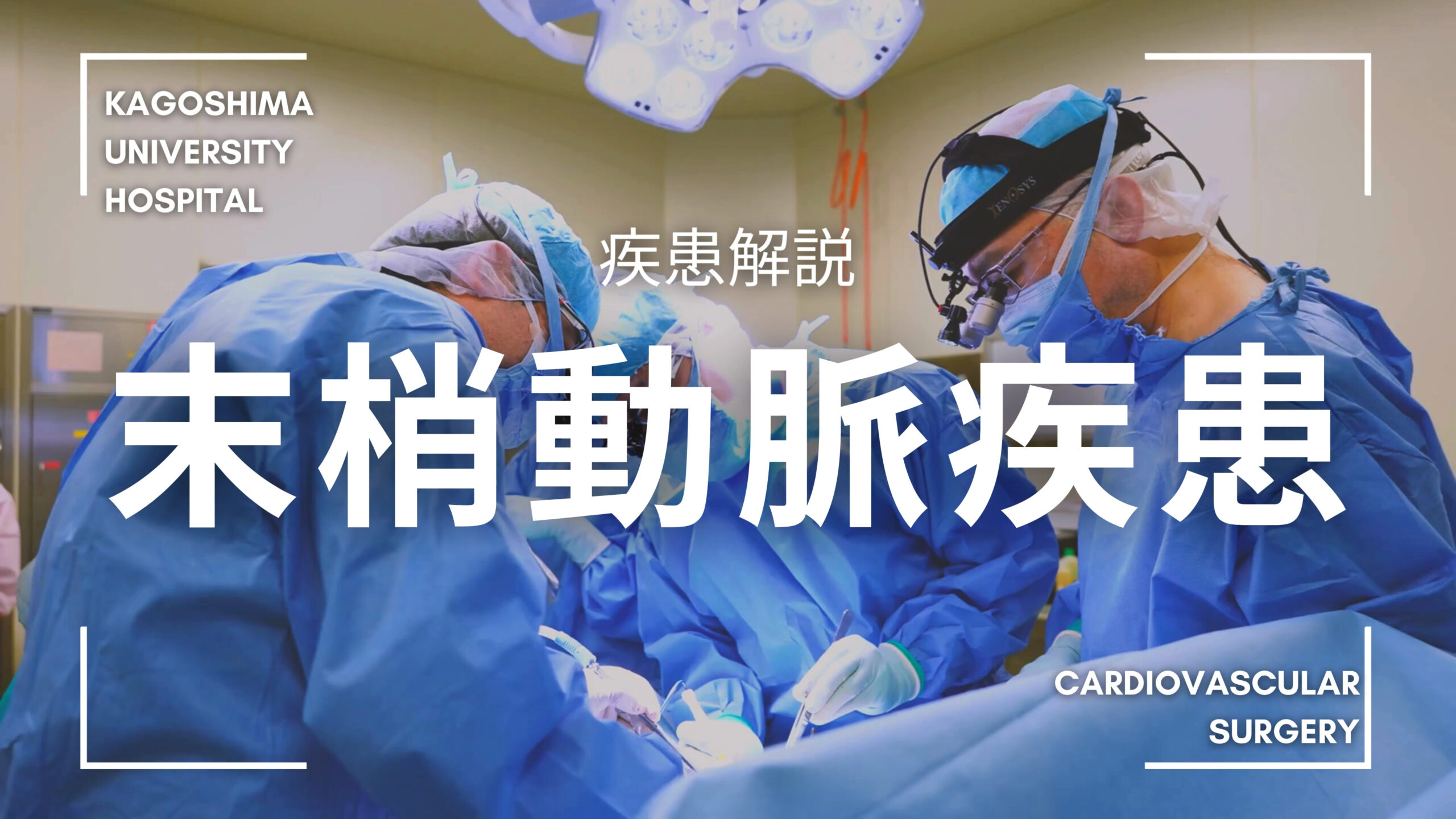末梢動脈疾患について - 鹿児島大学病院 心臓血管外科